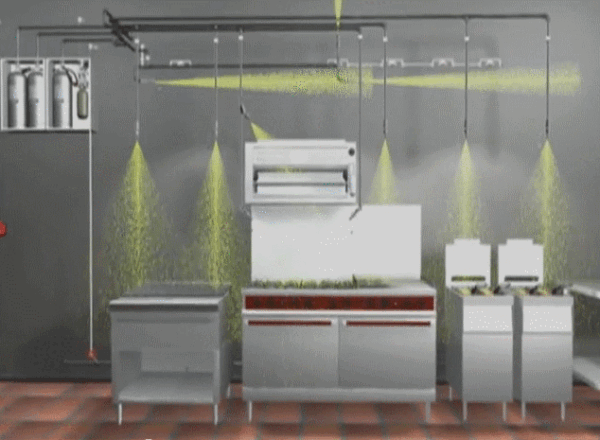 Kitchen Suppression service